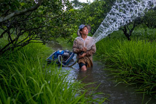 Cách chúng tôi góp phần đảm bảo canh tác bền vững ở nông thôn Việt Nam