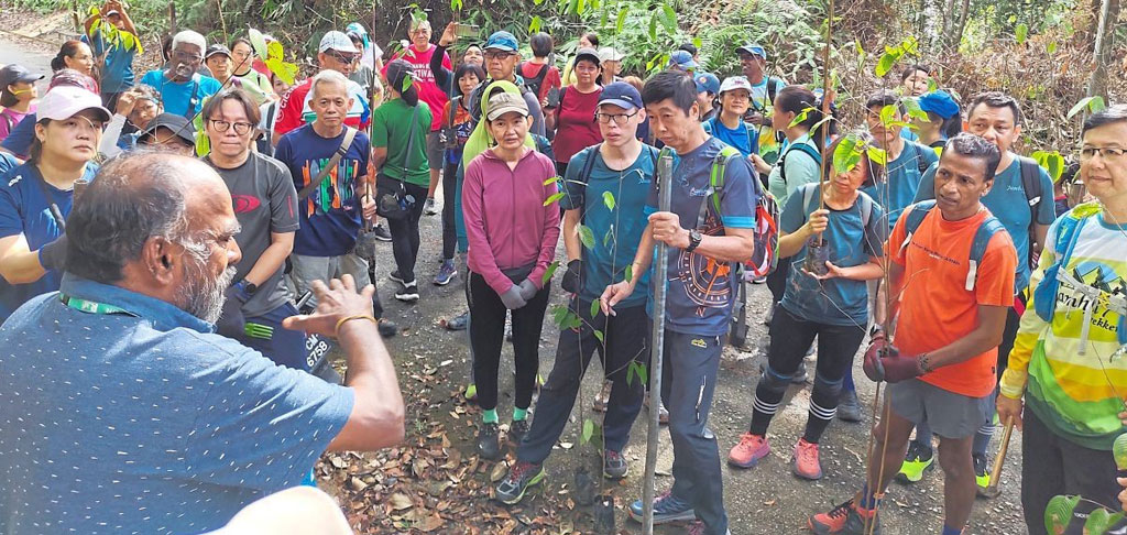 Penang Malaysia more than 1 3 million trees were planted throughout penang in conjunction with Earth Day