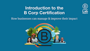 Ready to take your company’s commitment to social and environmental impact to the next level in 2024? Eager to earn B Corp Certification?