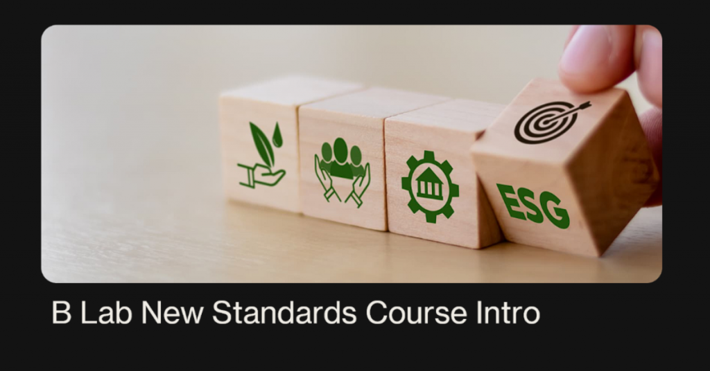 Four dice in a row with different graphic on it where one of it was with ESG and been hold by finger, and with phrase of "B Lab New Standards Course Intro" was under it