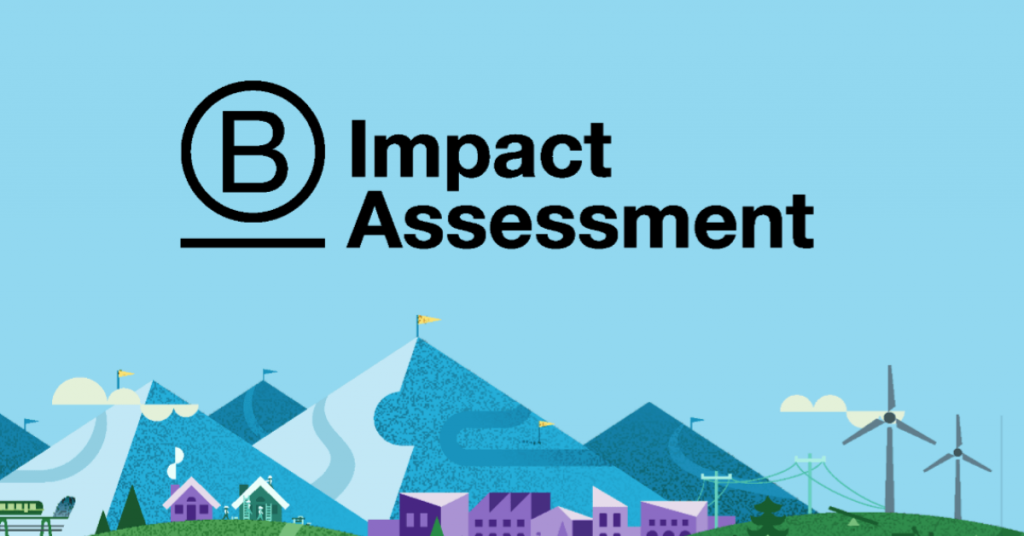 Poster of B Impact Assessment