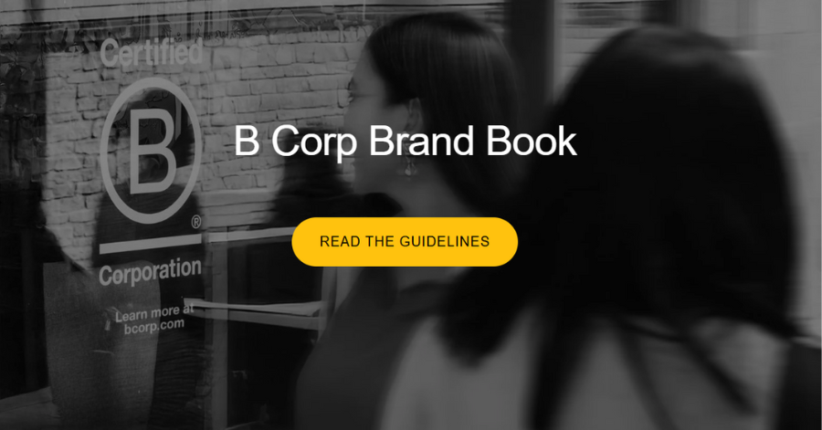 Global B Corp Brand Book